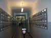 V noci z 8. na 9. března 1944 byli v koncentračním táboře Osvětim II - Březinka (Auschwitz II Birkenau) povražděni lidé, kteří tam byli přivezeni z Terezína v transportech Dl a Dm. Dne 8. března 2014 si jejich památku připomněli (nejen) žáci a obyvatelé hlinecka, kteří koncentrační a vyhlazovací tábor Osvětim (Auschwitz) navštívili. Součástí návštěvy, připravené PhDr. Vojtěchem Kynclem z Historického ústavu Akademie věd ČR a Mgr. Petrem Sedlákem z Multifunkčního centra Hlinsko, byl i pietní akt, který se uskutečnil u popravčí stěny mezi bloky 10 a 11 tábora Osvětim I, v areálu bývalého Terezínského rodinného tábora BIIb Osvětim II Březinka a u památníku v areálu bývalého vyhlazovacího tábora Osvětim II Březinka.