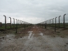 Vyhlazovací tábor Osvětim II - Březinka (Auschwitz II - Birkenau), cesta k plynovým komorám. 