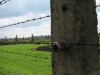 Vyhlazovací tábor Osvětim II - Březinka (Auschwitz II - Birkenau)