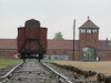 Osvětim II Březinka (Auschwitz II Birkenau)