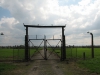 Vyhlazovací tábor Osvětim II - Březinka (Auschwitz II - Birkenau), 