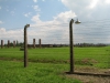 Vyhlazovací tábor Osvětim II - Březinka (Auschwitz II - Birkenau), 