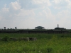 Vyhlazovací tábor Majdanek